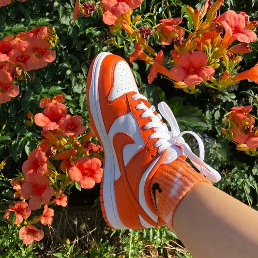 Nike SB Dunk Low: University Red